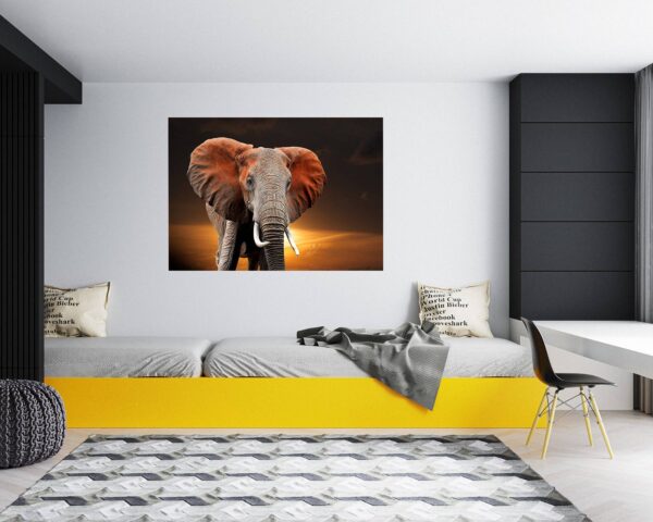 Elephant Wall Decal - Self Adhesive Wall Decal, Animal Wall Decal, Bedroom Wall Sticker, Removable Vinyl, Wall Decoration