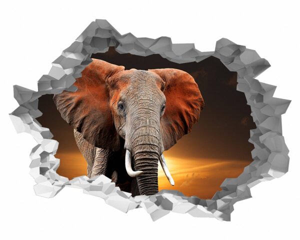 Elephant Wall Decal - Self Adhesive Wall Decal, Animal Wall Decal, Bedroom Wall Sticker, Removable Vinyl, Wall Decoration