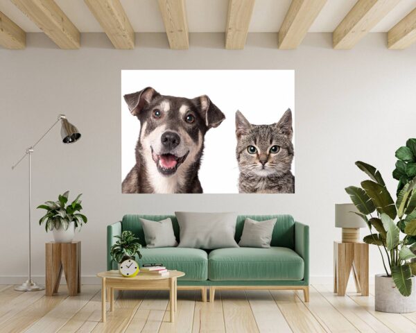 Dog and Cat Wall Art - Self Adhesive Wall Decal, Animal Wall Decal, Bedroom Wall Sticker, Removable Vinyl, Wall Decoration