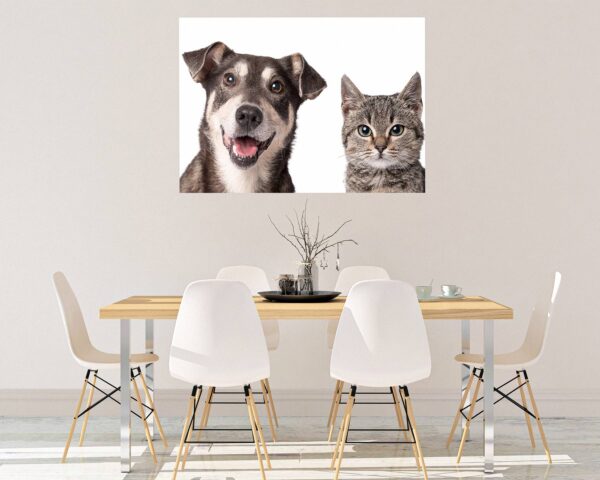 Dog and Cat Wall Art - Self Adhesive Wall Decal, Animal Wall Decal, Bedroom Wall Sticker, Removable Vinyl, Wall Decoration