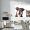 Dog and Cat Wall Art - Self Adhesive Wall Decal, Animal Wall Decal, Bedroom Wall Sticker, Removable Vinyl, Wall Decoration