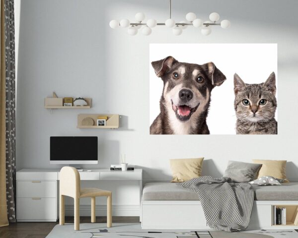 Dog and Cat Wall Art - Self Adhesive Wall Decal, Animal Wall Decal, Bedroom Wall Sticker, Removable Vinyl, Wall Decoration