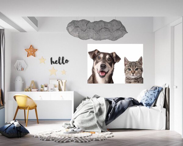 Dog and Cat Wall Art - Self Adhesive Wall Decal, Animal Wall Decal, Bedroom Wall Sticker, Removable Vinyl, Wall Decoration