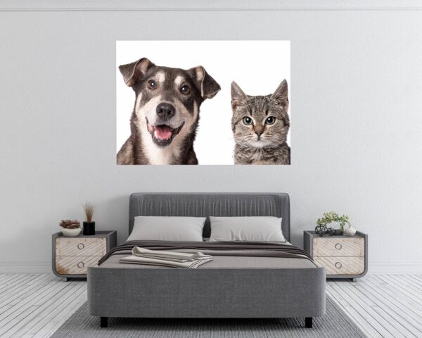 Dog and Cat Wall Art - Self Adhesive Wall Decal, Animal Wall Decal, Bedroom Wall Sticker, Removable Vinyl, Wall Decoration