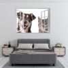 Dog and Cat Wall Art - Self Adhesive Wall Decal, Animal Wall Decal, Bedroom Wall Sticker, Removable Vinyl, Wall Decoration