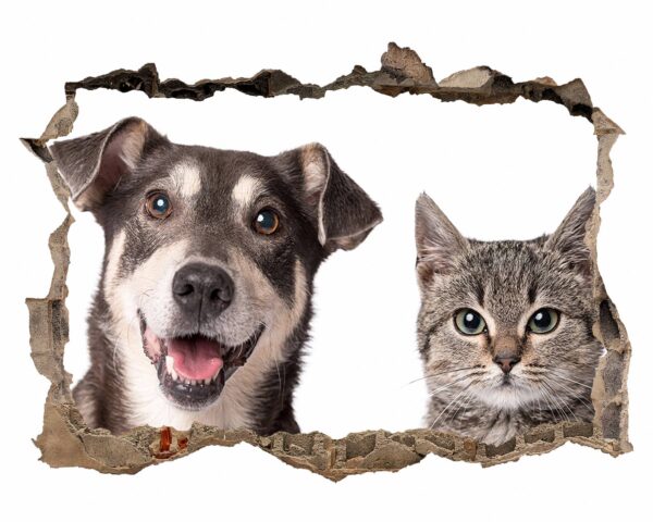 Dog and Cat Wall Art - Self Adhesive Wall Decal, Animal Wall Decal, Bedroom Wall Sticker, Removable Vinyl, Wall Decoration