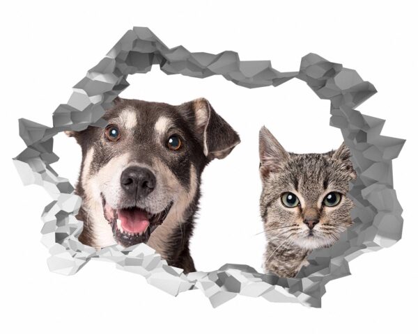 Dog and Cat Wall Art - Self Adhesive Wall Decal, Animal Wall Decal, Bedroom Wall Sticker, Removable Vinyl, Wall Decoration