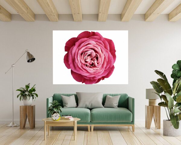 Roses Wall Decal - Flower Wall Sticker, Self Adhesive, Removable Vinyl, Easy to Install, Wall Decoration, Flower Wall Mural