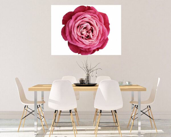 Roses Wall Decal - Flower Wall Sticker, Self Adhesive, Removable Vinyl, Easy to Install, Wall Decoration, Flower Wall Mural