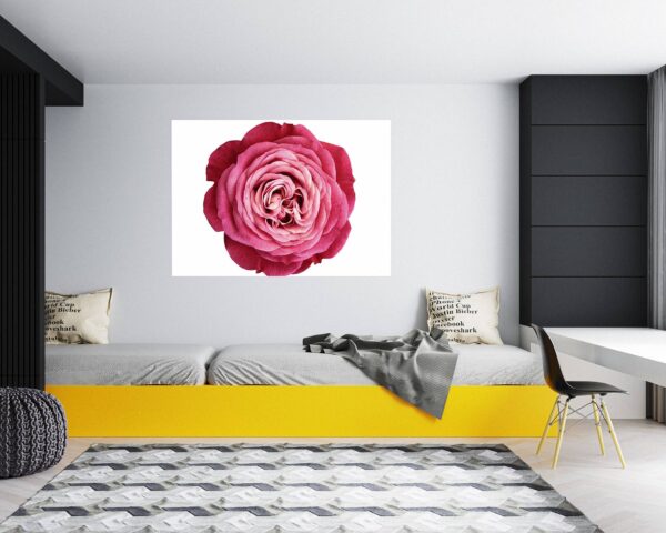 Roses Wall Decal - Flower Wall Sticker, Self Adhesive, Removable Vinyl, Easy to Install, Wall Decoration, Flower Wall Mural