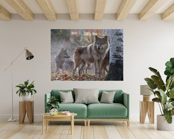 Wolf Wall Decal - Self Adhesive Wall Decal, Animal Wall Decal, Bedroom Wall Sticker, Removable Vinyl, Wall Decoration