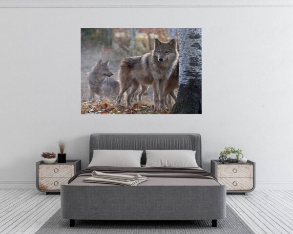 Wolf Wall Decal - Self Adhesive Wall Decal, Animal Wall Decal, Bedroom Wall Sticker, Removable Vinyl, Wall Decoration