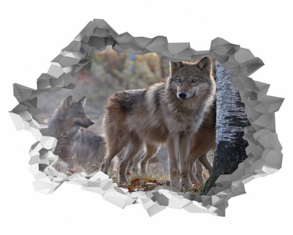 Wolf Wall Decal - Self Adhesive Wall Decal, Animal Wall Decal, Bedroom Wall Sticker, Removable Vinyl, Wall Decoration