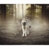 Wolf Wall Sticker - Self Adhesive Wall Decal, Animal Wall Decal, Bedroom Wall Sticker, Removable Vinyl, Wall Decoration