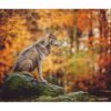 Wolf Wall Decor - Self Adhesive Wall Decal, Animal Wall Decal, Bedroom Wall Sticker, Removable Vinyl, Wall Decoration