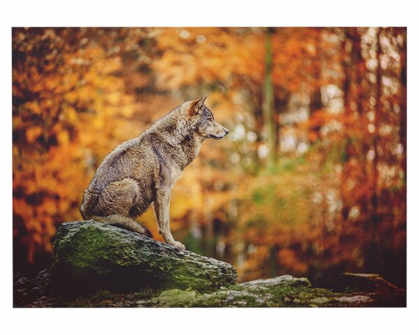 Wolf Wall Decor - Self Adhesive Wall Decal, Animal Wall Decal, Bedroom Wall Sticker, Removable Vinyl, Wall Decoration