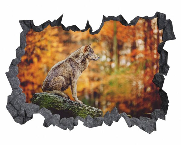 Wolf Wall Decor - Self Adhesive Wall Decal, Animal Wall Decal, Bedroom Wall Sticker, Removable Vinyl, Wall Decoration