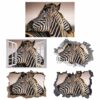 Zebra Wall Decal - Self Adhesive Wall Decal, Animal Wall Decal, Bedroom Wall Sticker, Removable Vinyl, Wall Decoration