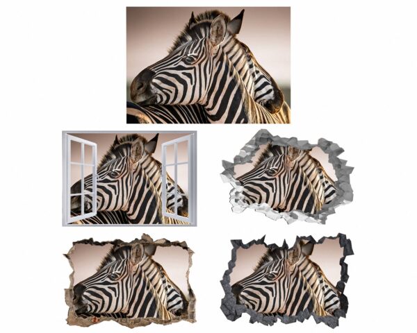 Zebra Wall Decal - Self Adhesive Wall Decal, Animal Wall Decal, Bedroom Wall Sticker, Removable Vinyl, Wall Decoration