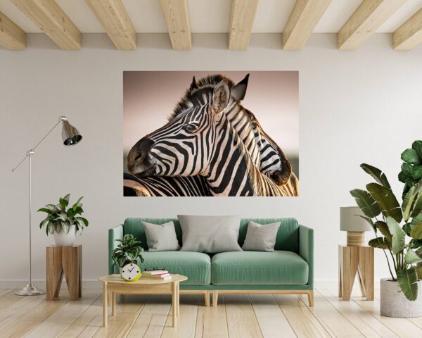 Zebra Wall Decal - Self Adhesive Wall Decal, Animal Wall Decal, Bedroom Wall Sticker, Removable Vinyl, Wall Decoration