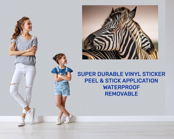 Zebra Wall Decal - Self Adhesive Wall Decal, Animal Wall Decal, Bedroom Wall Sticker, Removable Vinyl, Wall Decoration