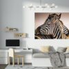 Zebra Wall Decal - Self Adhesive Wall Decal, Animal Wall Decal, Bedroom Wall Sticker, Removable Vinyl, Wall Decoration