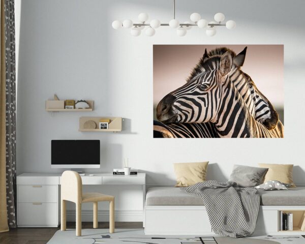 Zebra Wall Decal - Self Adhesive Wall Decal, Animal Wall Decal, Bedroom Wall Sticker, Removable Vinyl, Wall Decoration