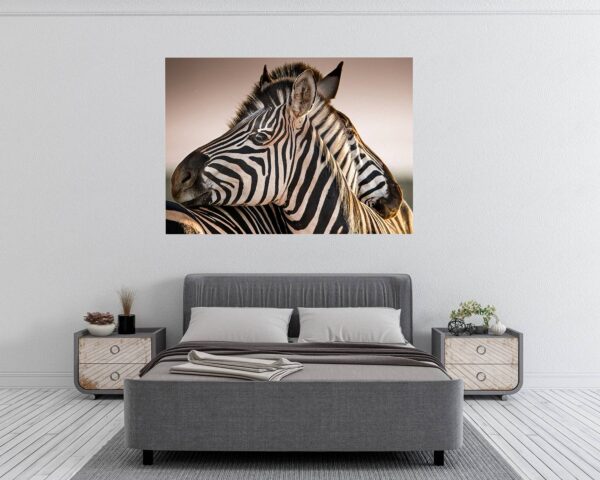 Zebra Wall Decal - Self Adhesive Wall Decal, Animal Wall Decal, Bedroom Wall Sticker, Removable Vinyl, Wall Decoration