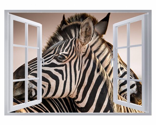 Zebra Wall Decal - Self Adhesive Wall Decal, Animal Wall Decal, Bedroom Wall Sticker, Removable Vinyl, Wall Decoration