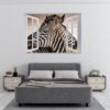 Zebra Wall Decal - Self Adhesive Wall Decal, Animal Wall Decal, Bedroom Wall Sticker, Removable Vinyl, Wall Decoration