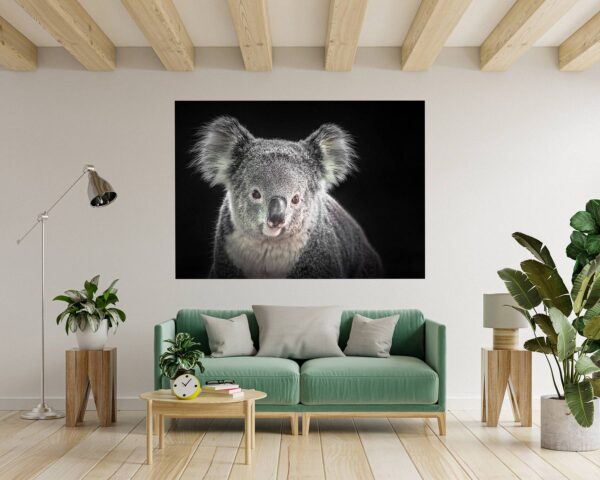 Koala Wall Decal - Self Adhesive Wall Decal, Animal Wall Decal, Bedroom Wall Sticker, Removable Vinyl, Wall Decoration