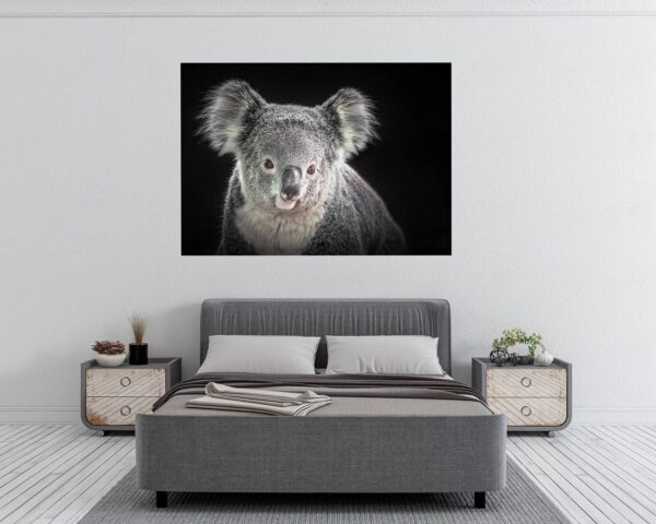 Koala Wall Decal - Self Adhesive Wall Decal, Animal Wall Decal, Bedroom Wall Sticker, Removable Vinyl, Wall Decoration