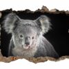 Koala Wall Decal - Self Adhesive Wall Decal, Animal Wall Decal, Bedroom Wall Sticker, Removable Vinyl, Wall Decoration