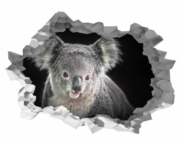 Koala Wall Decal - Self Adhesive Wall Decal, Animal Wall Decal, Bedroom Wall Sticker, Removable Vinyl, Wall Decoration