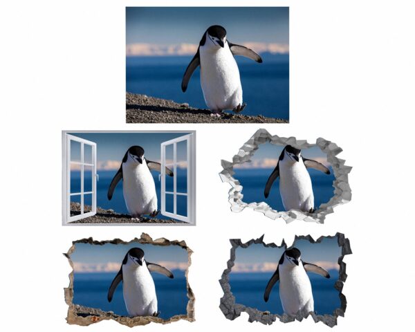 Penguins Wall Art - Self Adhesive Wall Decal, Animal Wall Decal, Bedroom Wall Sticker, Removable Vinyl, Wall Decoration