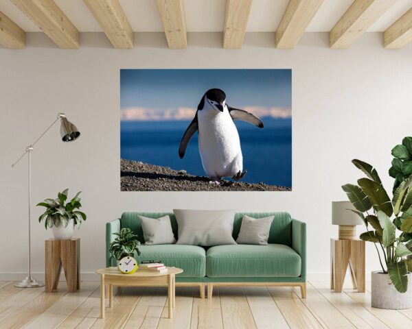 Penguins Wall Art - Self Adhesive Wall Decal, Animal Wall Decal, Bedroom Wall Sticker, Removable Vinyl, Wall Decoration