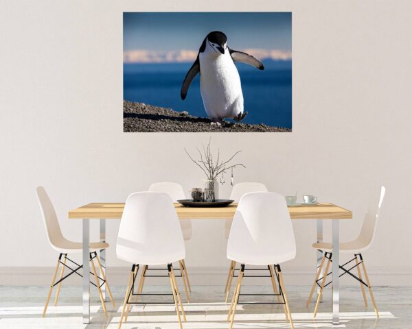 Penguins Wall Art - Self Adhesive Wall Decal, Animal Wall Decal, Bedroom Wall Sticker, Removable Vinyl, Wall Decoration