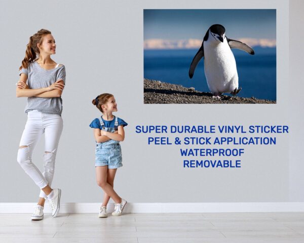 Penguins Wall Art - Self Adhesive Wall Decal, Animal Wall Decal, Bedroom Wall Sticker, Removable Vinyl, Wall Decoration