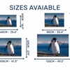 Penguins Wall Art - Self Adhesive Wall Decal, Animal Wall Decal, Bedroom Wall Sticker, Removable Vinyl, Wall Decoration