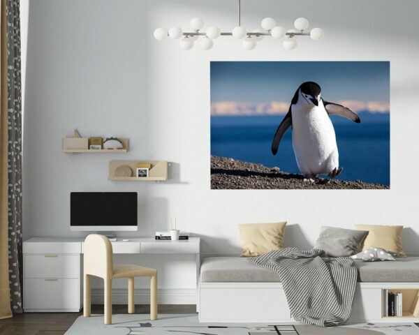 Penguins Wall Art - Self Adhesive Wall Decal, Animal Wall Decal, Bedroom Wall Sticker, Removable Vinyl, Wall Decoration