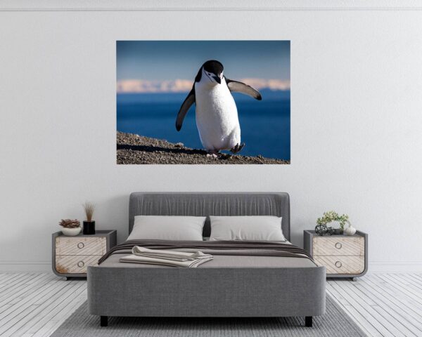 Penguins Wall Art - Self Adhesive Wall Decal, Animal Wall Decal, Bedroom Wall Sticker, Removable Vinyl, Wall Decoration