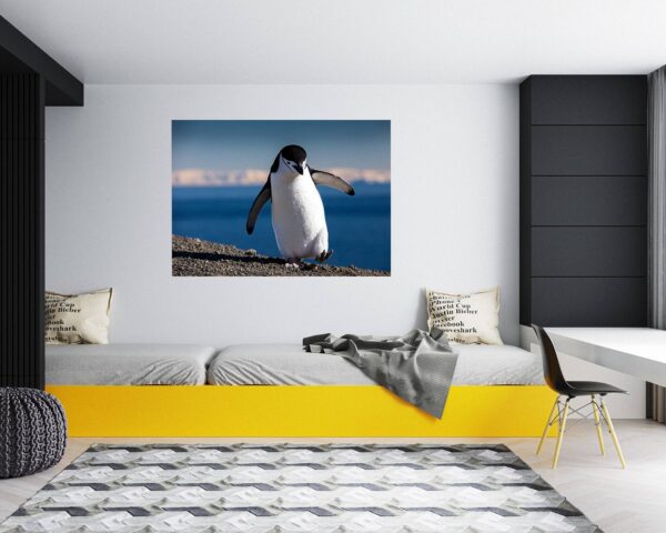 Penguins Wall Art - Self Adhesive Wall Decal, Animal Wall Decal, Bedroom Wall Sticker, Removable Vinyl, Wall Decoration