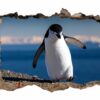 Penguins Wall Art - Self Adhesive Wall Decal, Animal Wall Decal, Bedroom Wall Sticker, Removable Vinyl, Wall Decoration