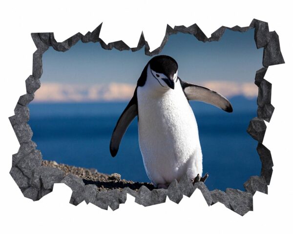 Penguins Wall Art - Self Adhesive Wall Decal, Animal Wall Decal, Bedroom Wall Sticker, Removable Vinyl, Wall Decoration