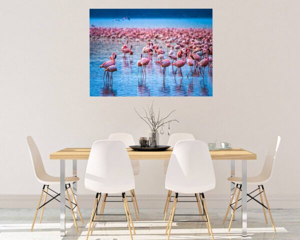 Flamingos Wall Sticker - Self Adhesive Wall Decal, Animal Wall Decal, Bedroom Wall Sticker, Removable Vinyl, Wall Decoration