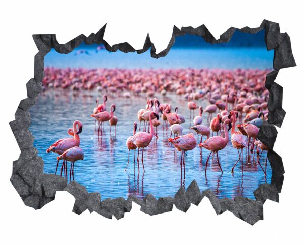 Flamingos Wall Sticker - Self Adhesive Wall Decal, Animal Wall Decal, Bedroom Wall Sticker, Removable Vinyl, Wall Decoration