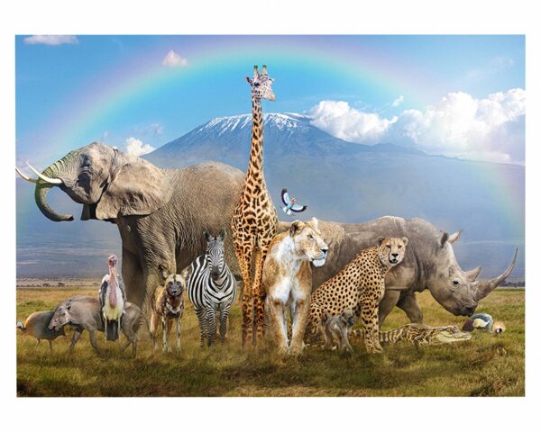 Safari Animals Wall Decal - Self Adhesive Wall Decal, Animal Wall Decal, Bedroom Wall Sticker, Removable Vinyl, Wall Decoration