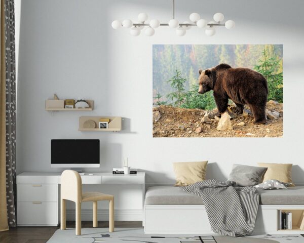 Bear Wall Decal - Self Adhesive Wall Decal, Animal Wall Decal, Bedroom Wall Sticker, Removable Vinyl, Wall Decoration