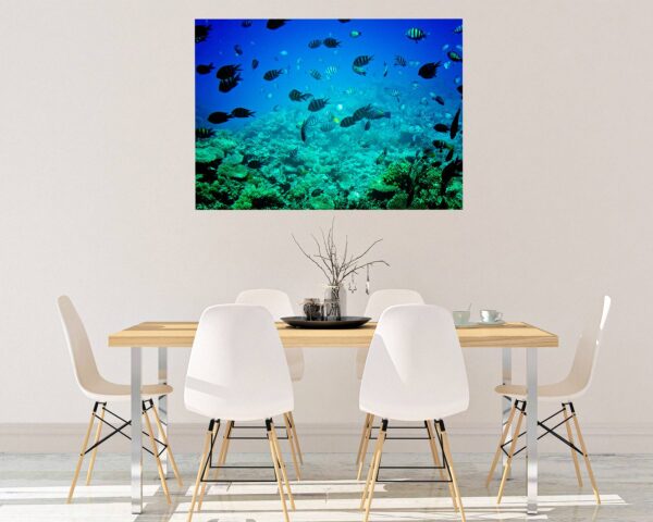 Underwater Life Wall Decal - Peel and Stick Removable Wall Art - Printable Ocean Wall Art - Perfect for Bedroom and Living Room Wall Decoration