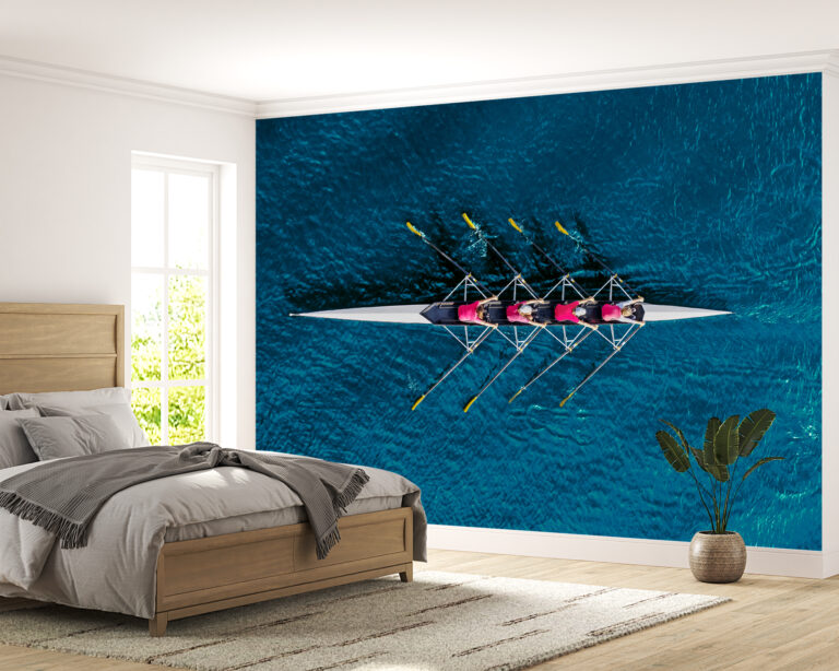 Bedroom Mural with Overhead Rowing Scene